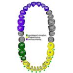 thessaloniki odontiatroi